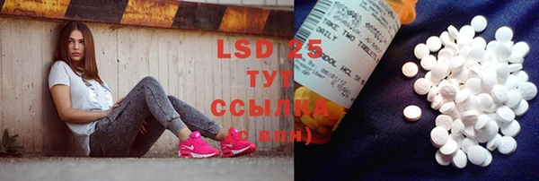 ГАЛЛЮЦИНОГЕННЫЕ ГРИБЫ Каменка