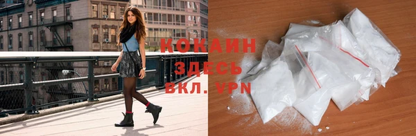 ГАЛЛЮЦИНОГЕННЫЕ ГРИБЫ Каменка