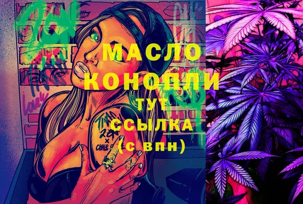 МДПВ Каменногорск