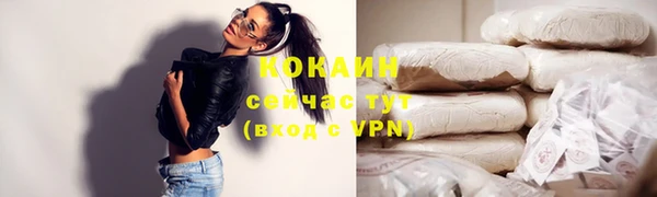 ГАЛЛЮЦИНОГЕННЫЕ ГРИБЫ Каменка