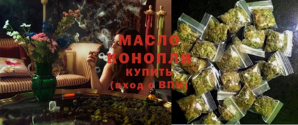 МДПВ Каменногорск
