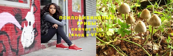 МДПВ Каменногорск