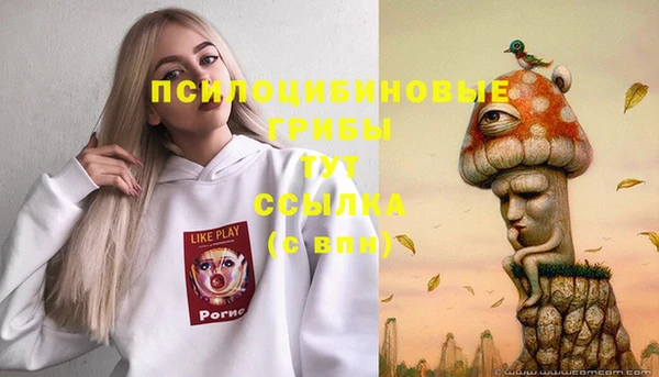 МДПВ Каменногорск
