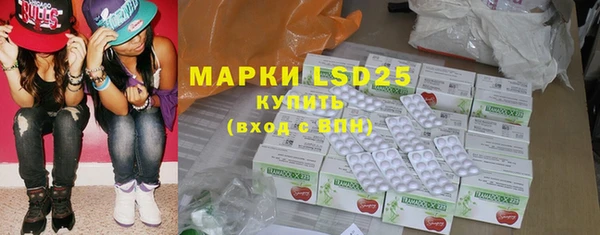ГАЛЛЮЦИНОГЕННЫЕ ГРИБЫ Каменка