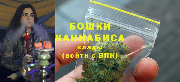 ГАЛЛЮЦИНОГЕННЫЕ ГРИБЫ Каменка