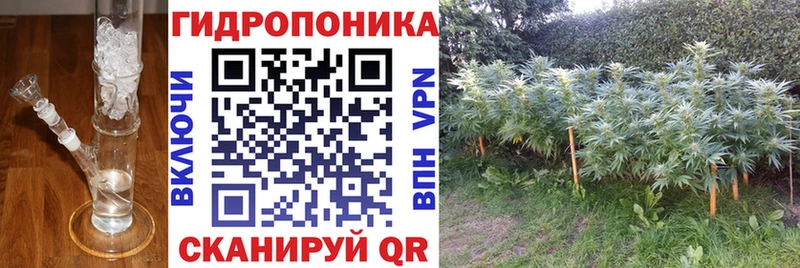 Каннабис Bruce Banner  Купить где  Уварово 